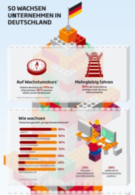 Infografik Flexibel Wachsen