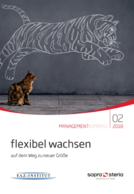 Expose ManagementKompass Flexibel Wachsen - 2018