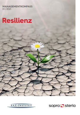 MK-Resilienz-Deckblatt